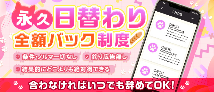 エプロンレディーの風俗求人画像