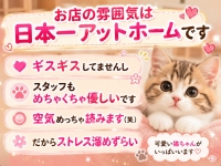 エプロンレディーで働くメリット4