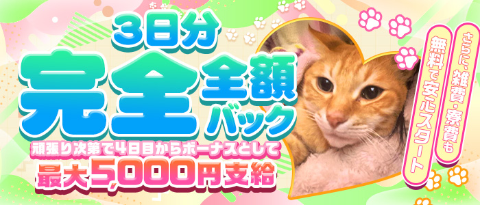 エプロンレディー