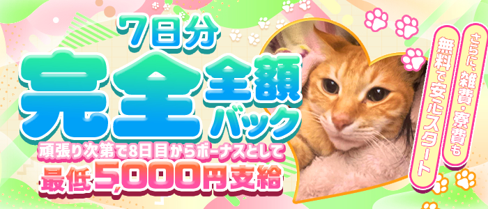 エプロンレディーの体験入店求人画像