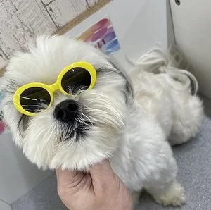 身バレ対策万全です👍のアイキャッチ画像