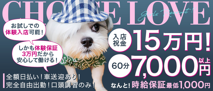 CHOICE LOVEのぽっちゃり求人画像