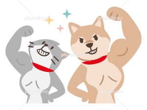 こんばんは(^^♪のアイキャッチ画像