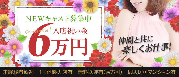 Clubナイトスクールの求人画像