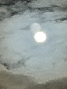 特に・・・。寒い(;^&omega;^)のアイキャッチ画像