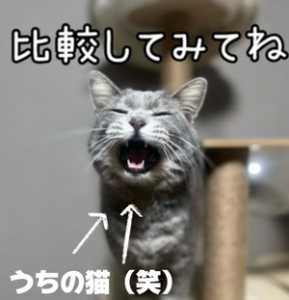 必ず満足の函館！！のアイキャッチ画像
