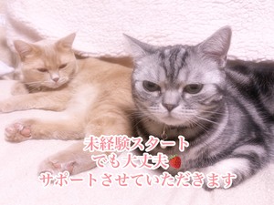 当店は 寮完備 なので、 県外からの出稼ぎを考えている女の子も すぐにお仕事をスタートできます🏠✨のアイキャッチ画像