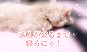 この仕事始めるときってですねー、一番不安なの何か分かりますかー？😌のアイキャッチ画像