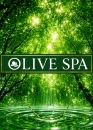 OLIVE SPA 熊本店の面接官