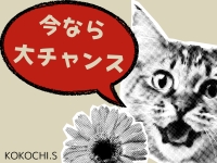 KOKOCHI 札幌（ココチ・サッポロ）で働くメリット9