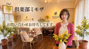 ミモザは、若手から熟女まで幅広く在籍しております✨のアイキャッチ画像