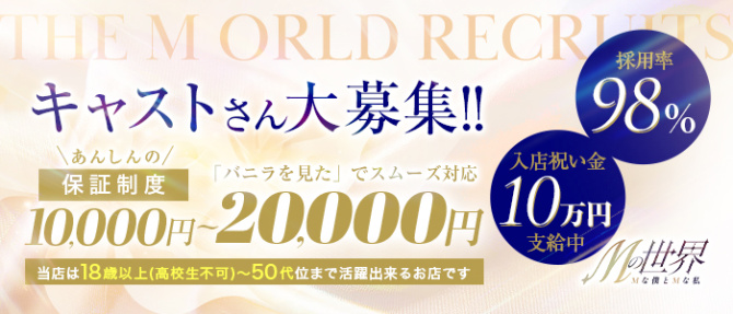 Mの世界のぽっちゃり求人画像