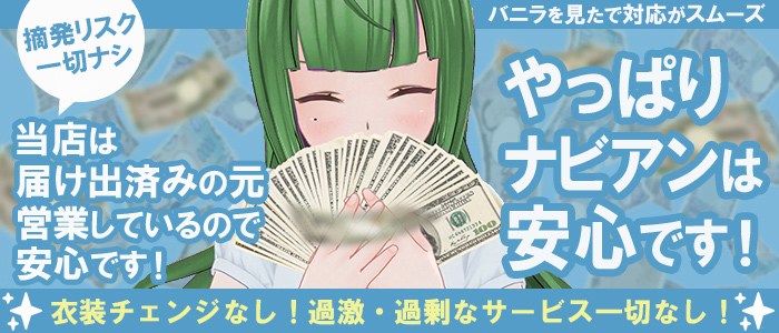 NAVIANの求人画像