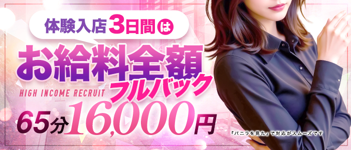 美人OLの秘密の裏接待の求人画像