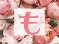 おもてなしヒルズ(DIVAグループ)で働くメリット2