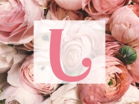 おもてなしヒルズ(DIVAグループ)で働くメリット5