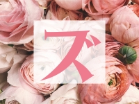 おもてなしヒルズ(DIVAグループ)で働くメリット8