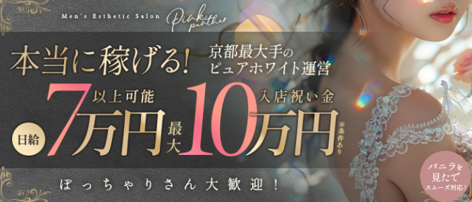 Pink Pantherのぽっちゃり求人画像
