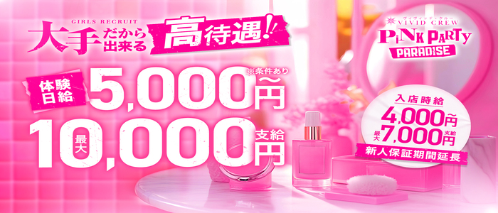 VIVIDCREW Pink Party Paradiceの求人画像