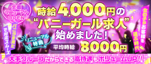 VIVIDCREW Pink Party Paradice