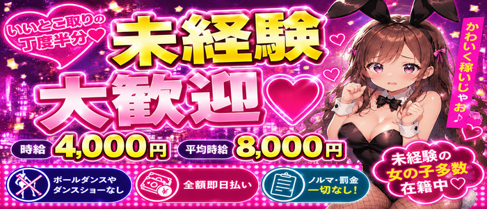 VIVIDCREW Pink Party Paradice