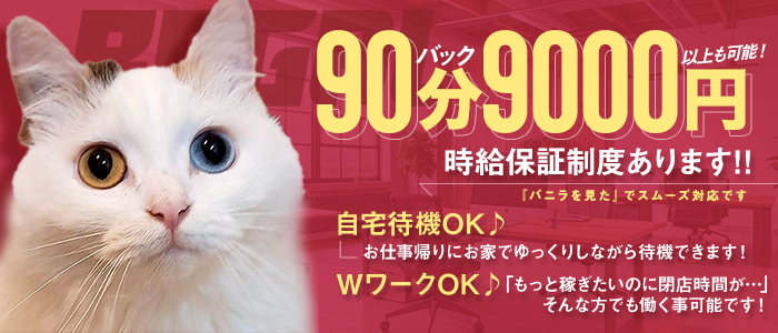 札幌メンズエステ REGALの求人画像