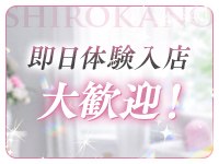 白シャツと彼女「しろかの」で働くメリット6