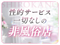 白シャツと彼女「しろかの」で働くメリット8