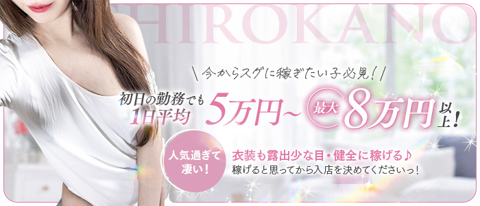 白シャツと彼女「しろかの」の体験入店求人画像