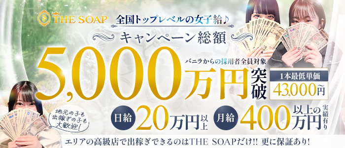 THE SOAPの求人画像
