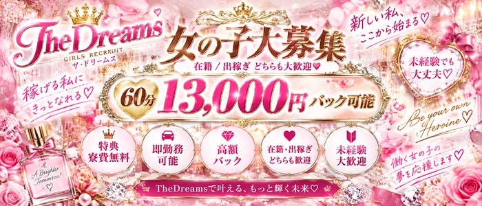 The Dreams(Team Wish)の求人画像
