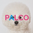 PALCOの面接人画像