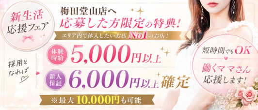 VIVID CREW 梅田堂山店