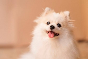 本指名に繋がるコツのアイキャッチ画像