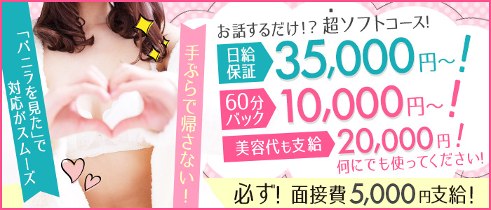 VENUS Diaryの求人画像