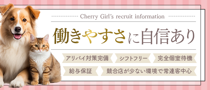 チェリーの未経験求人画像