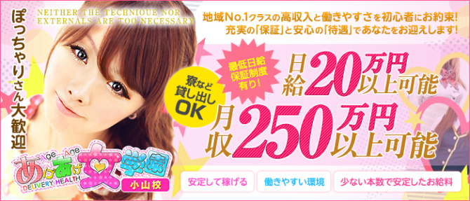 あげあげグループのぽっちゃり求人画像