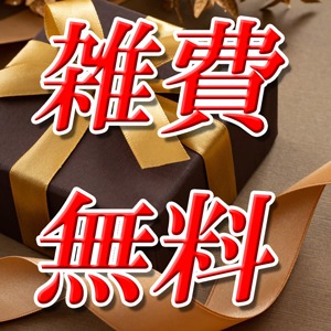 期間限定で雑費無料キャンペーン中♪のアイキャッチ画像