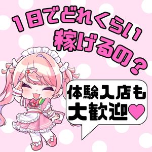 1日でどれだけ稼げるの？？🐰🌀のアイキャッチ画像