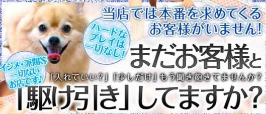クラブ シャングリラ