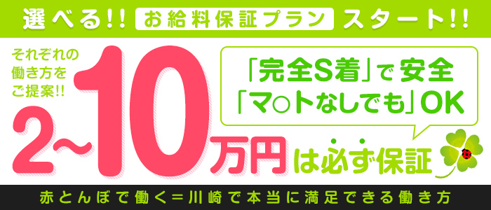 赤とんぼの求人画像