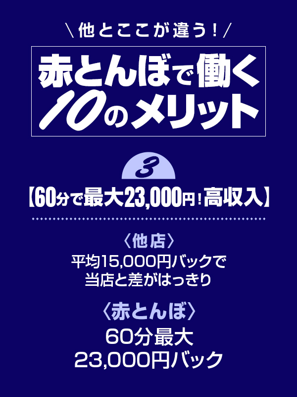 赤とんぼの給与画像1