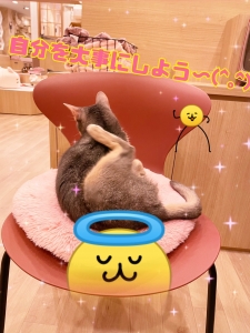 自分を大事にしよう～(^.^)のアイキャッチ画像