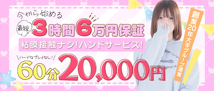 しろうと娘in秋葉原の求人画像
