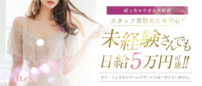 アレックス5のぽっちゃり求人画像