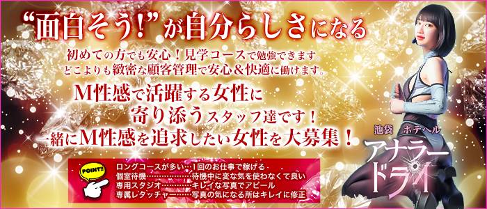 アナラードライ