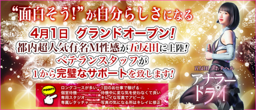 アナラードライ五反田店