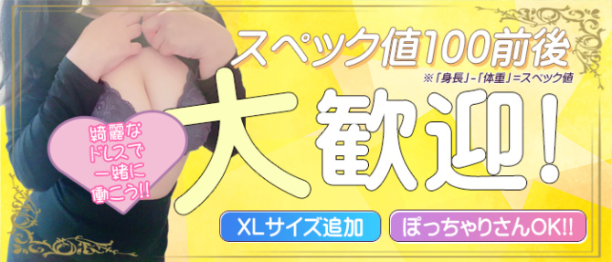 レオン2.0のぽっちゃり求人画像