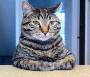 全額日払いだから今すぐ稼げる！のアイキャッチ画像