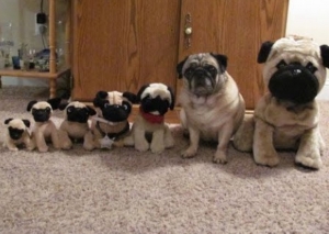 オプションでさらに稼げる！のアイキャッチ画像